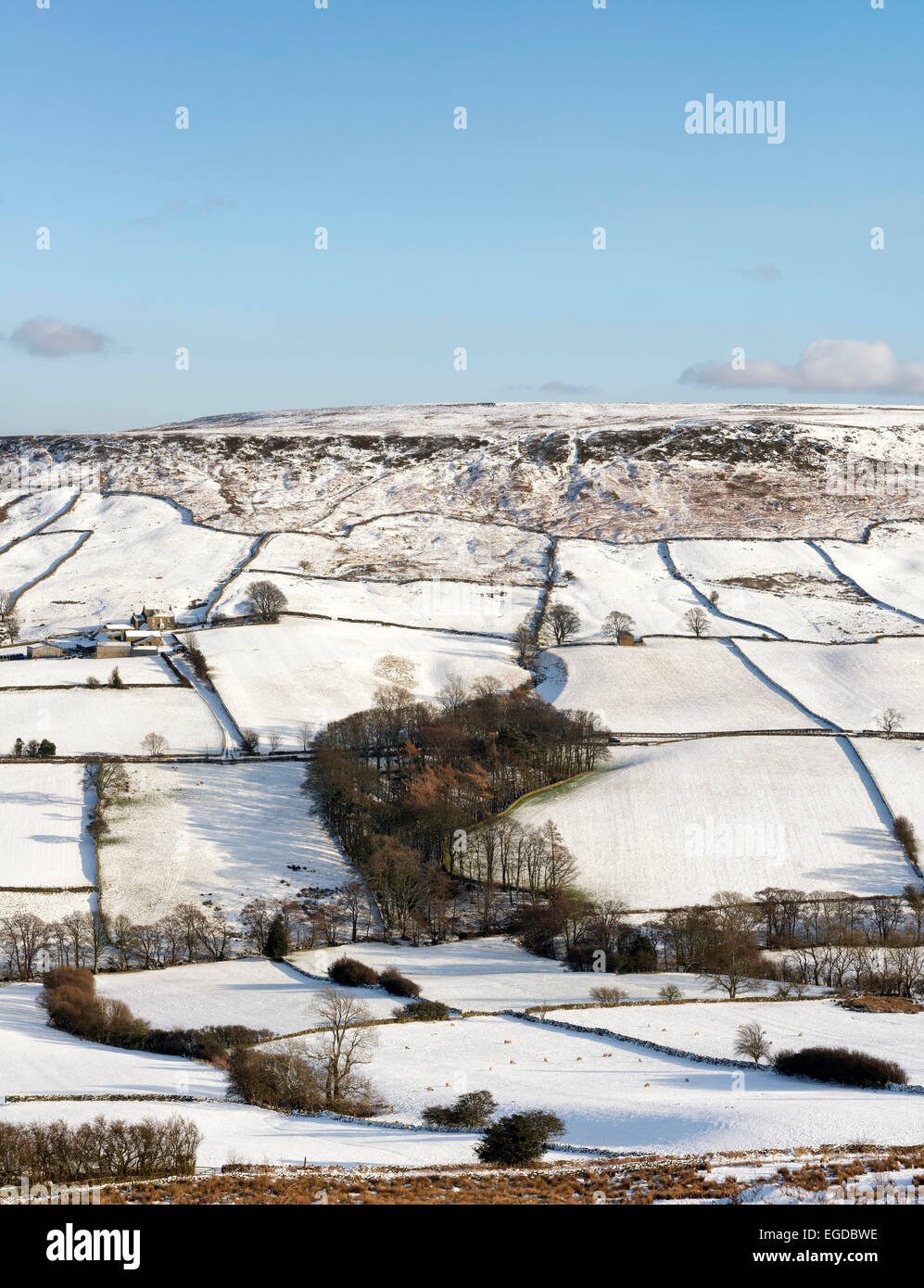 Danby Dale im winter Stockfoto