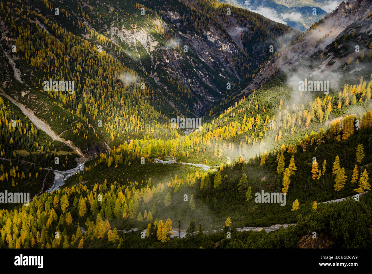 Blick über Val Cluozza im Herbst, Nationalpark, Kanton Graubünden, Schweiz Stockfoto