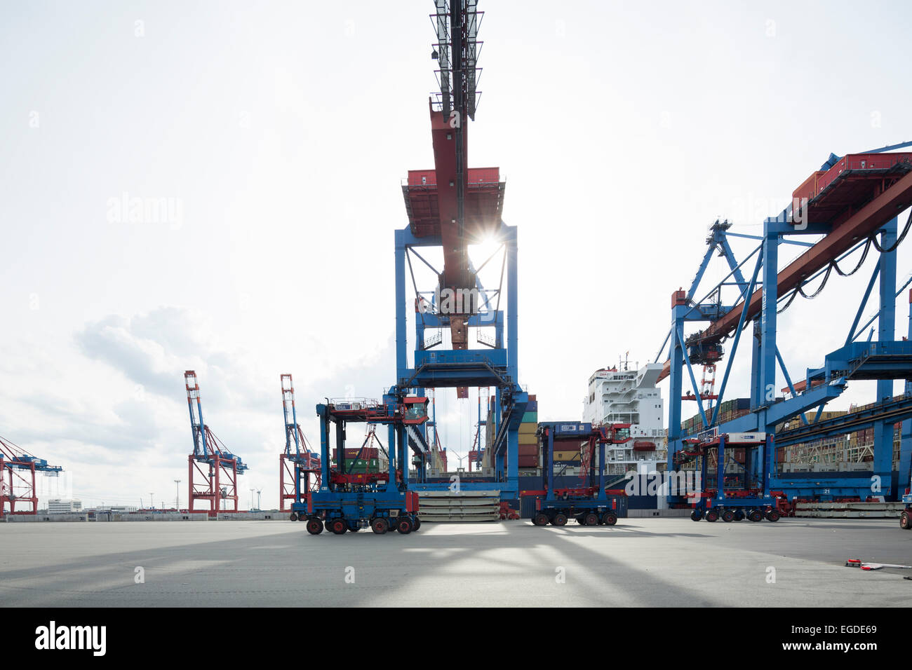 Portraner zum Be- und Entladen ein Containerschiff im Hamburger Hafen, Burchardkai, Hamburg, Deutschland Stockfoto