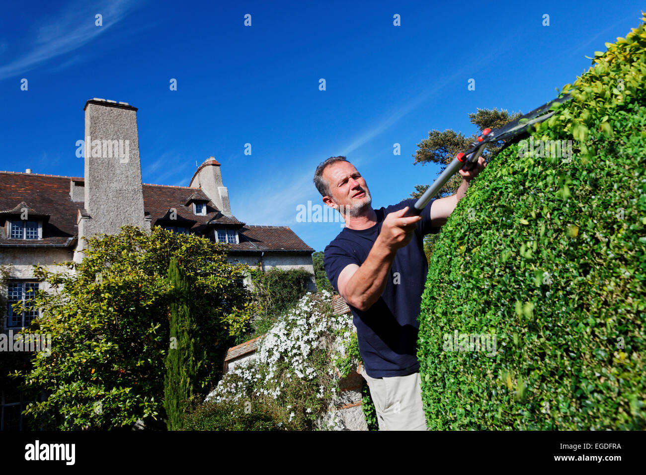 Mann, schneiden die Hecken im Parc du Bois des Moutiers, Varengeville-Sur-Mer, Normandie, Frankreich Stockfoto