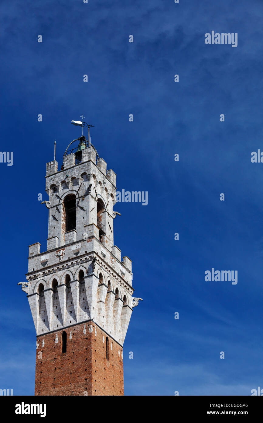Turm des Rathauses, Torre del Mangia, Palazzo Pubblico, Siena, Toskana, Italien Stockfoto