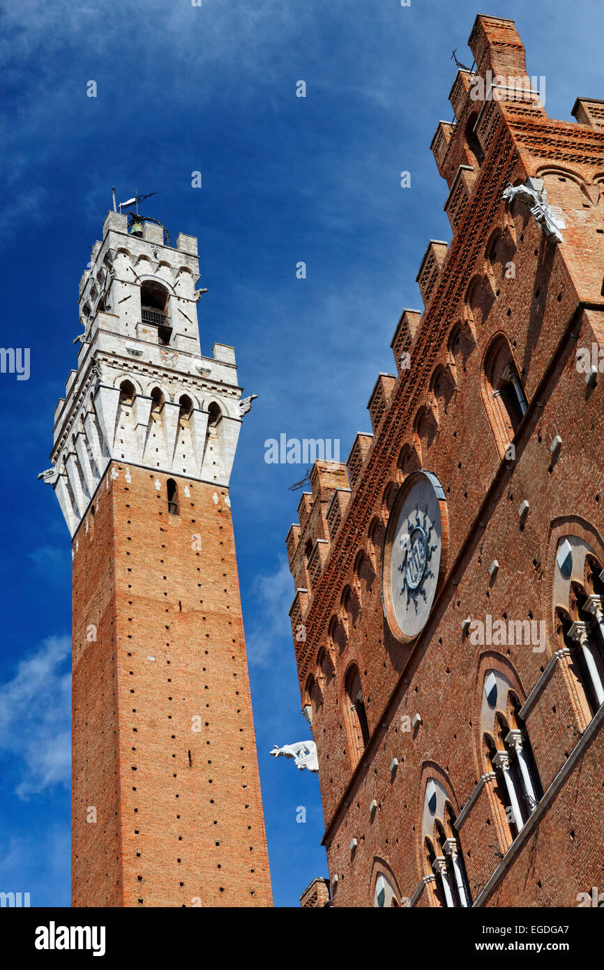 Turm des Rathauses, Torre del Mangia und Palazzo Pubblico, Siena, Toskana, Italien Stockfoto