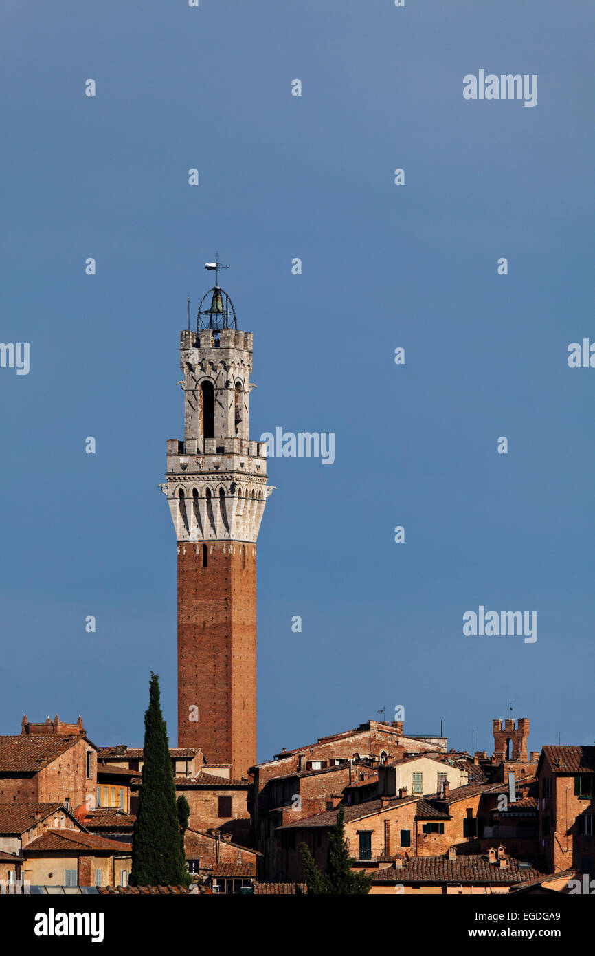 Turm des Rathauses, Torre del Mangia, Palazzo Pubblico, Siena, Toskana, Italien Stockfoto