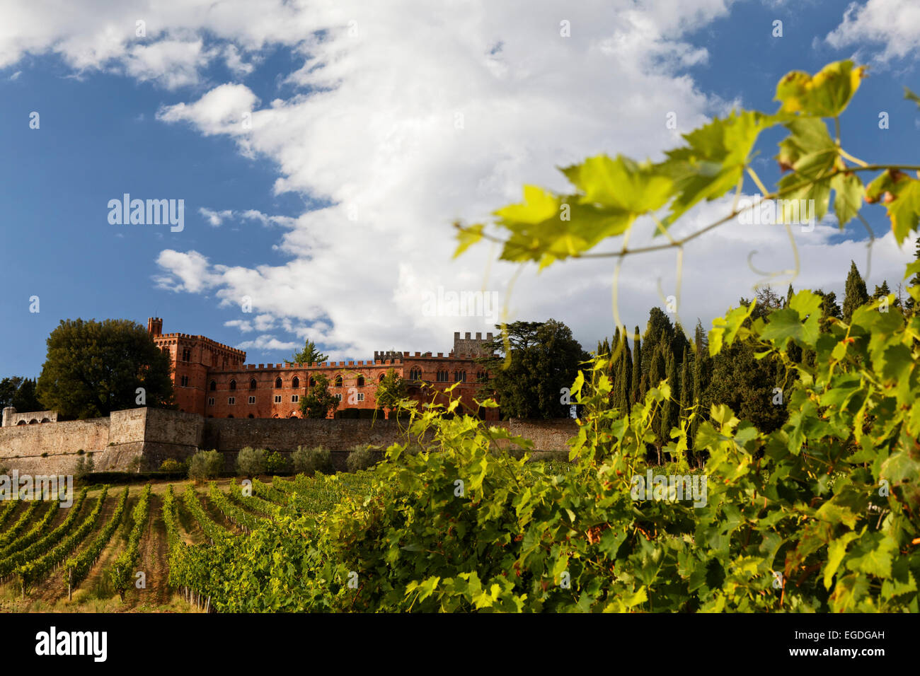 Castello di Bolio, der ältesten toskanischen Weingut, Gaiole in Chianti, Toskana, Italien Stockfoto