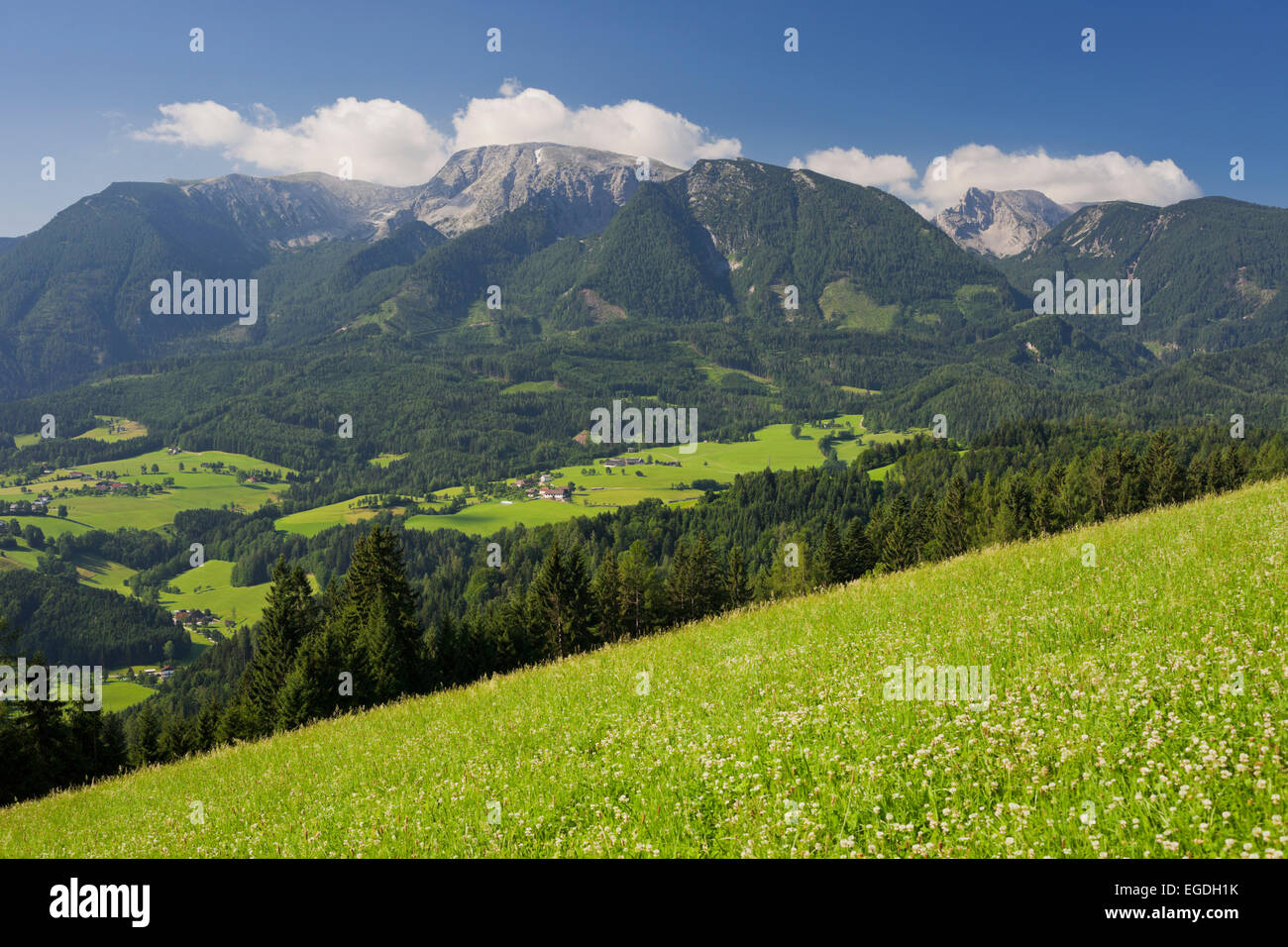 Totes Gebirge aus Tamberg, Windischgarsten, nördlichen Kalkstein Alpen, Oberösterreich, Österreich Stockfoto