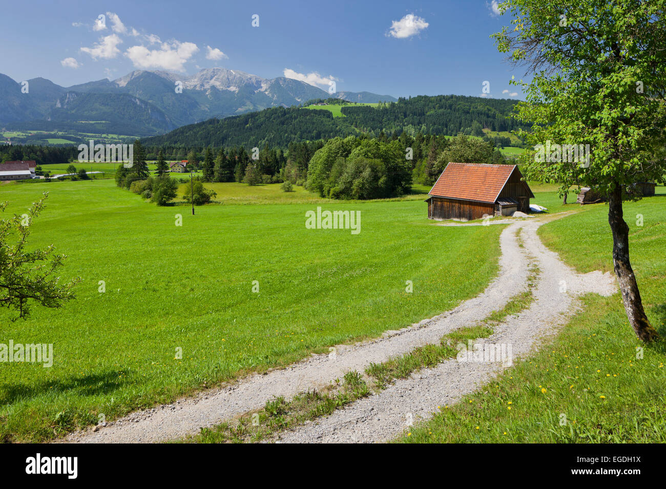 Rading in der Nähe von Windischgarsten, Totes Gebirge, Oberösterreich, Österreich Stockfoto