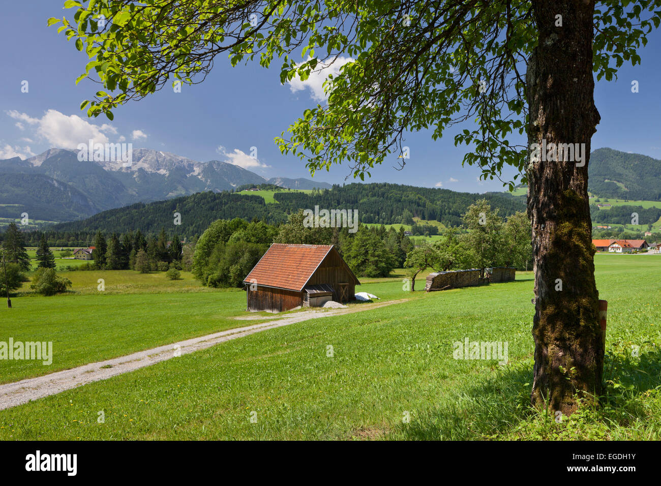 Rading in der Nähe von Windischgarsten, Totes Gebirge, Oberösterreich, Österreich Stockfoto