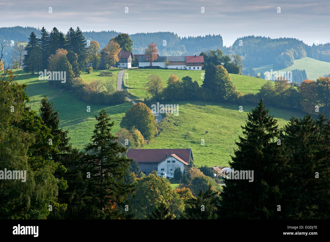 Landschaft nahe dem Dorf von Schönberg, Upper Bavaria, Bavaria, Germany Stockfoto