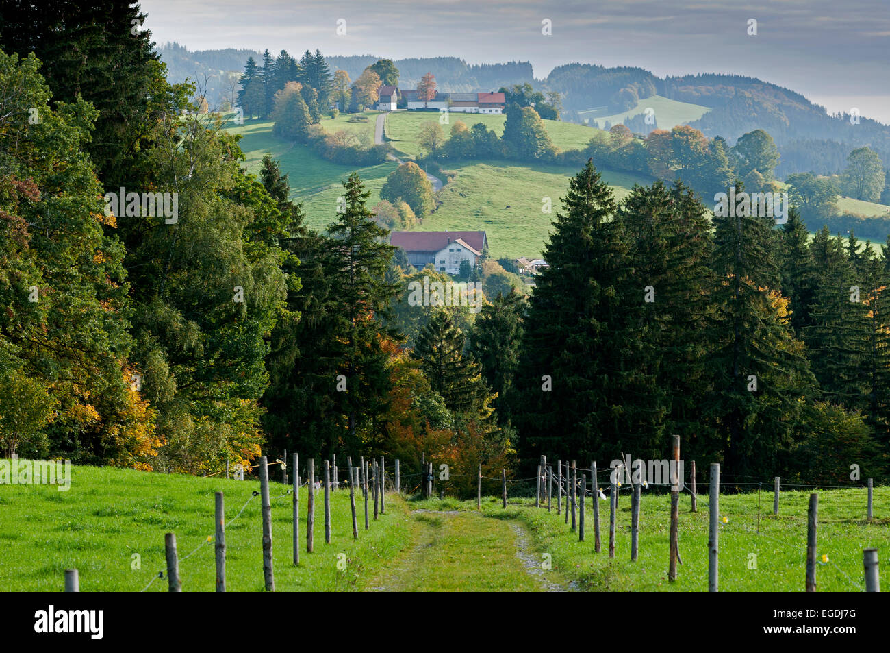 Landschaft nahe dem Dorf von Schönberg, Upper Bavaria, Bavaria, Germany Stockfoto