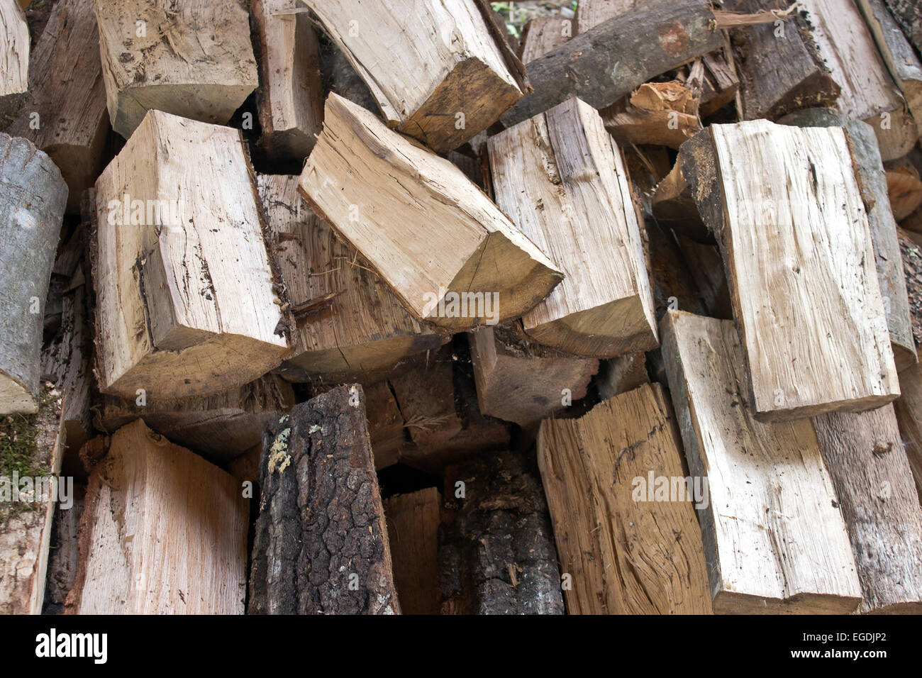 Scheitholz abgeholzt für Brennholz Stockfoto