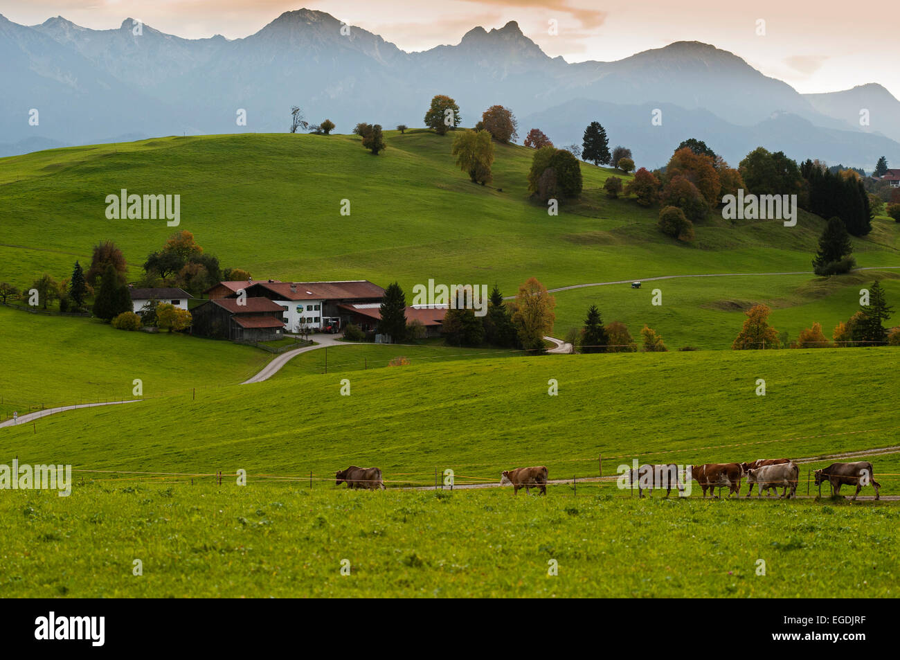 Die Ausläufer der Alpen in der Nähe von Steingaden, Upper Bavaria, Bavaria, Germany Stockfoto
