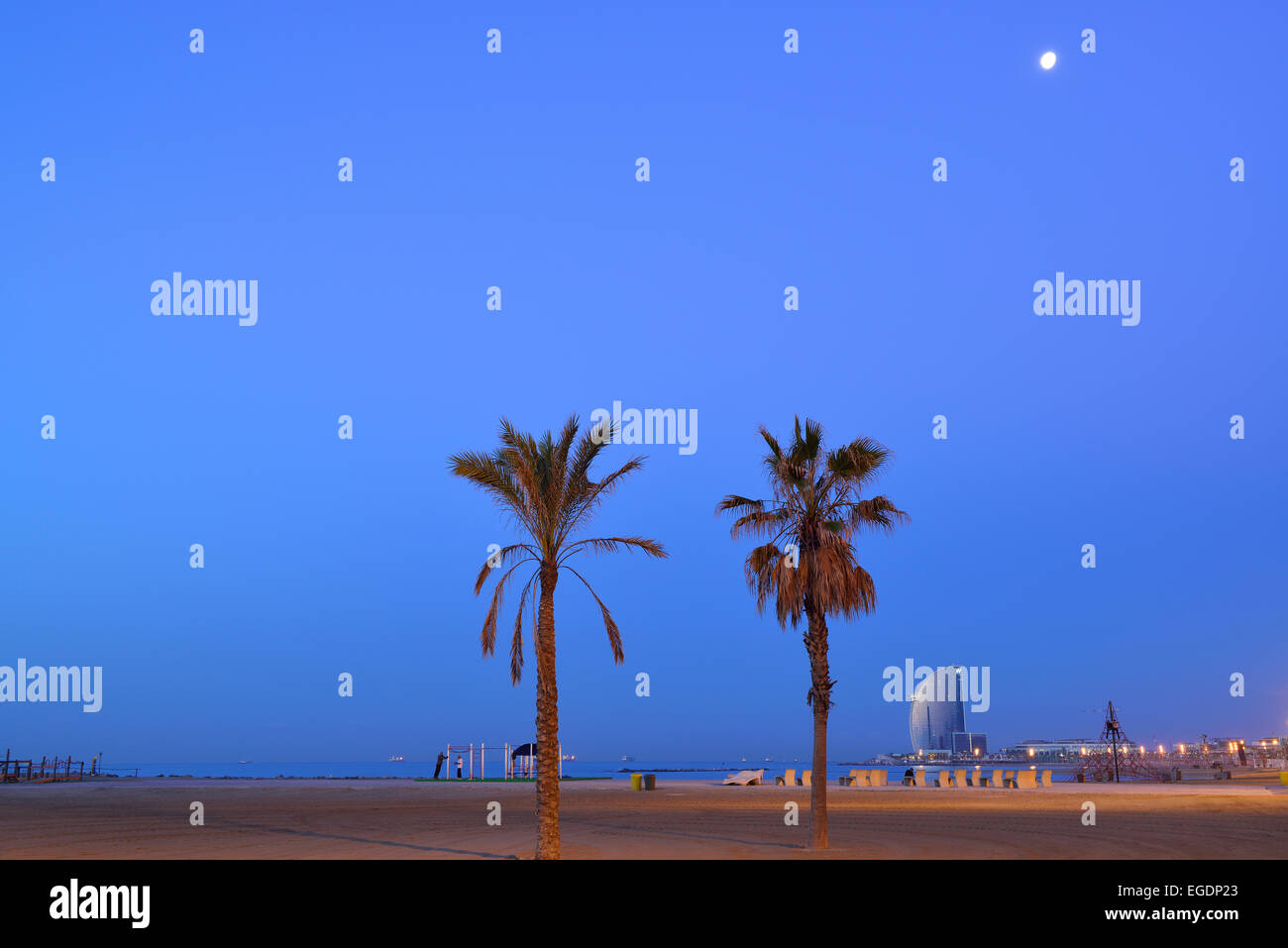 Hotel W und Strand mit Palmen, Nachtbeleuchtung, Architekt Ricardo Bofill, Barceloneta, Barcelona, Katalonien, Spanien Stockfoto