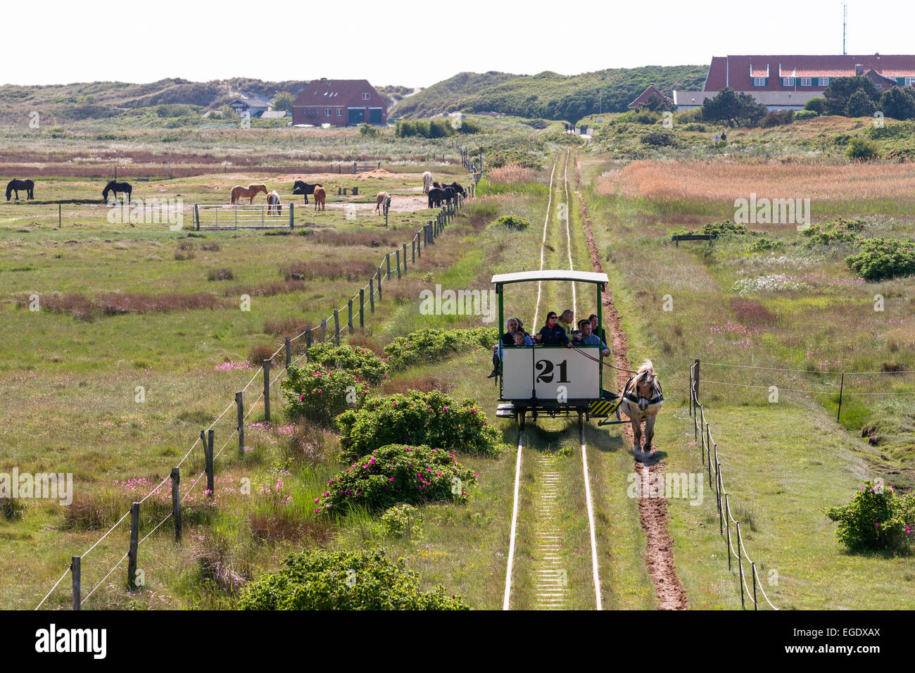 Pferd gezogenen Zug Spiegeroog Insel, Nationalpark, Nordsee, Ostfriesischen Inseln, Ostfriesland, Niedersachsen, Deutschland, Europa Stockfoto