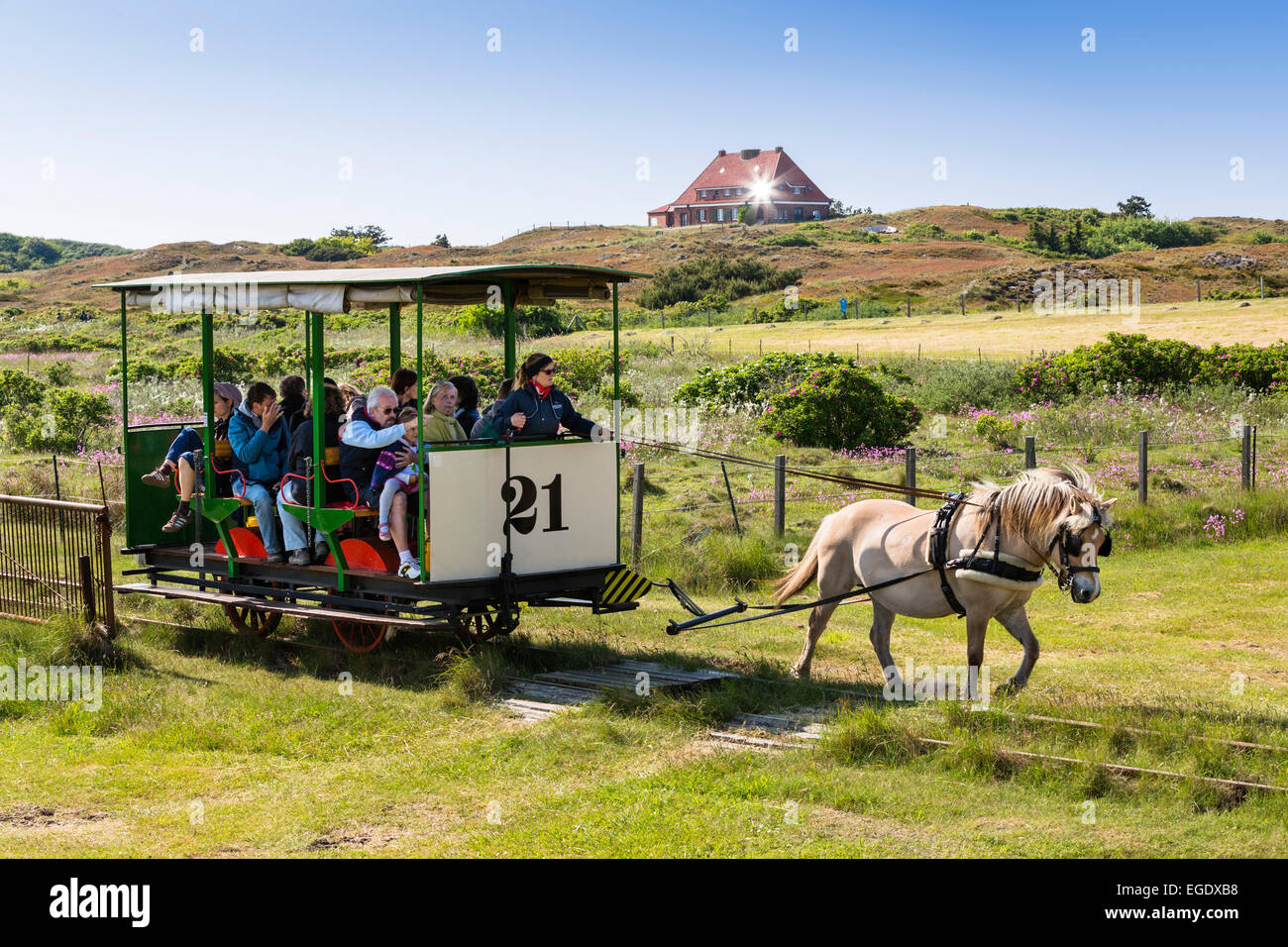 Pferd gezogenen Zug Spiegeroog Insel, Nationalpark, Nordsee, Ostfriesischen Inseln, Ostfriesland, Niedersachsen, Deutschland, Europa Stockfoto