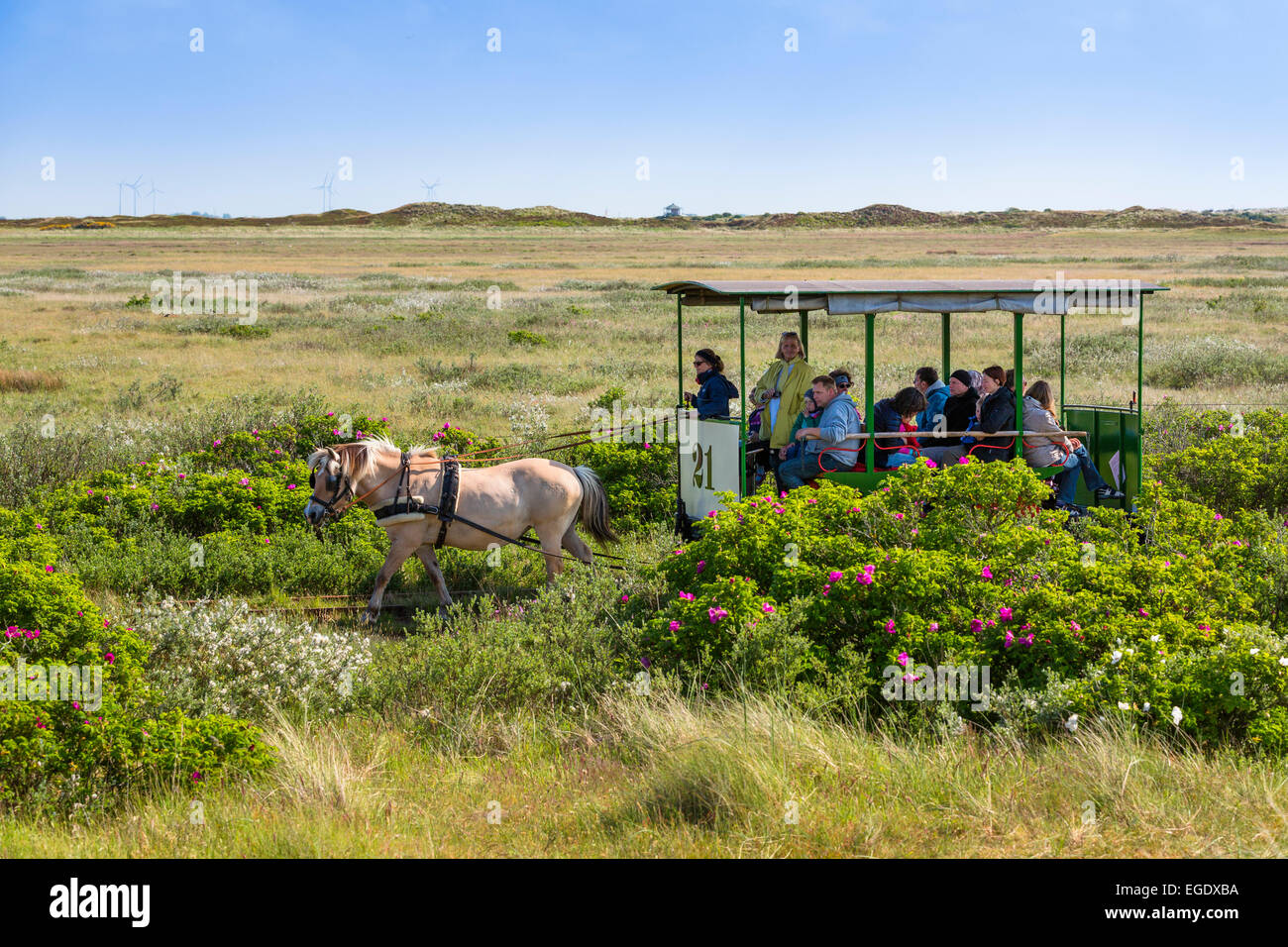 Pferd gezogenen Zug Spiegeroog Insel, Nationalpark, Nordsee, Ostfriesischen Inseln, Ostfriesland, Niedersachsen, Deutschland, Europa Stockfoto