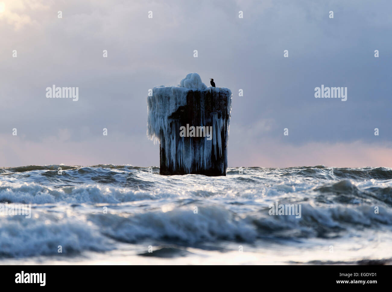 Ostsee im Winter, Kap Arkona, Rügen, Mecklenburg-Western Pomerania, Deutschland Stockfoto