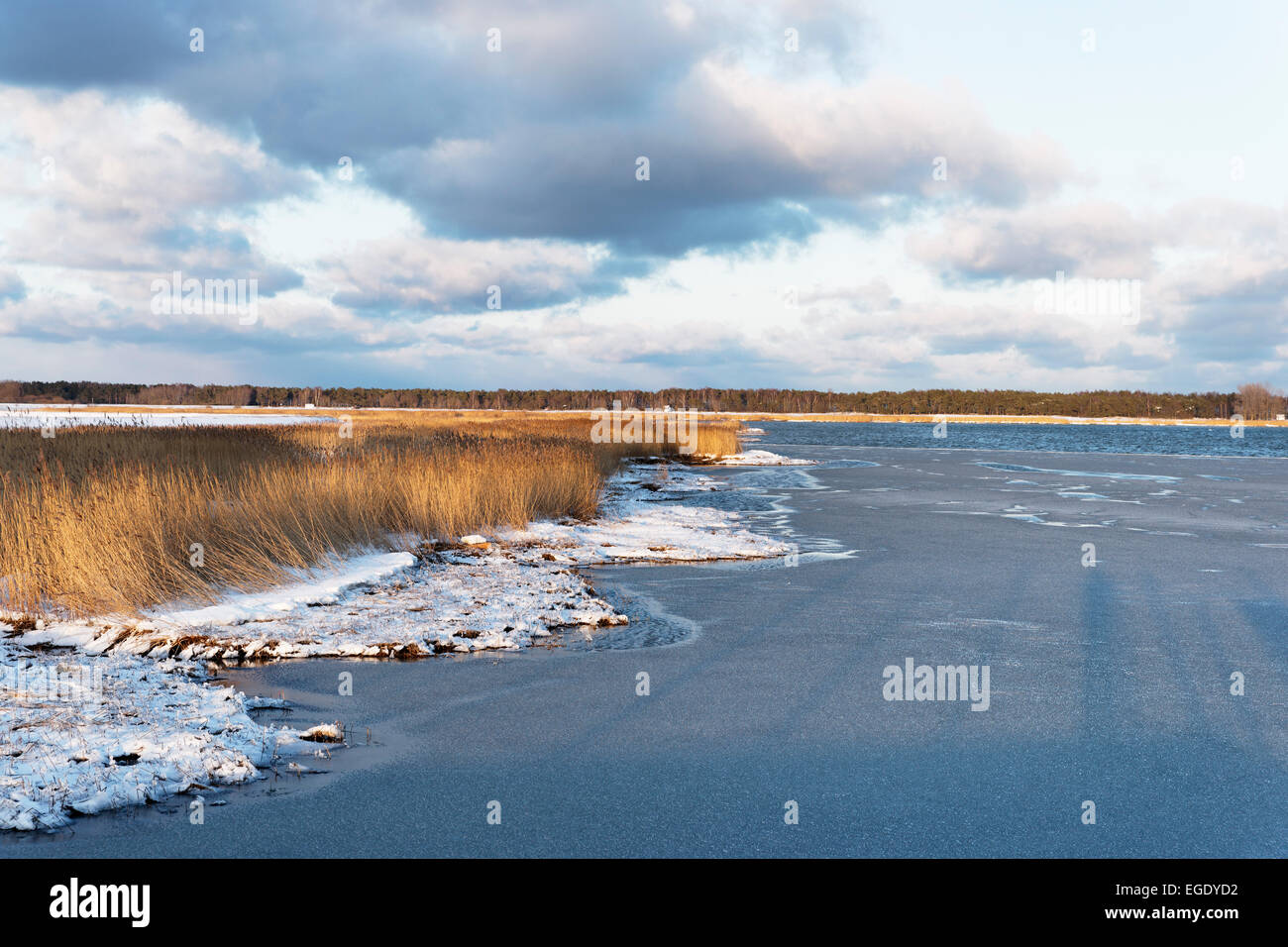 Rügen Shallow Bay im Winter, Gross Zicker, Moenchgut, Insel Rügen, Mecklenburg-Western Pomerania, Deutschland Stockfoto