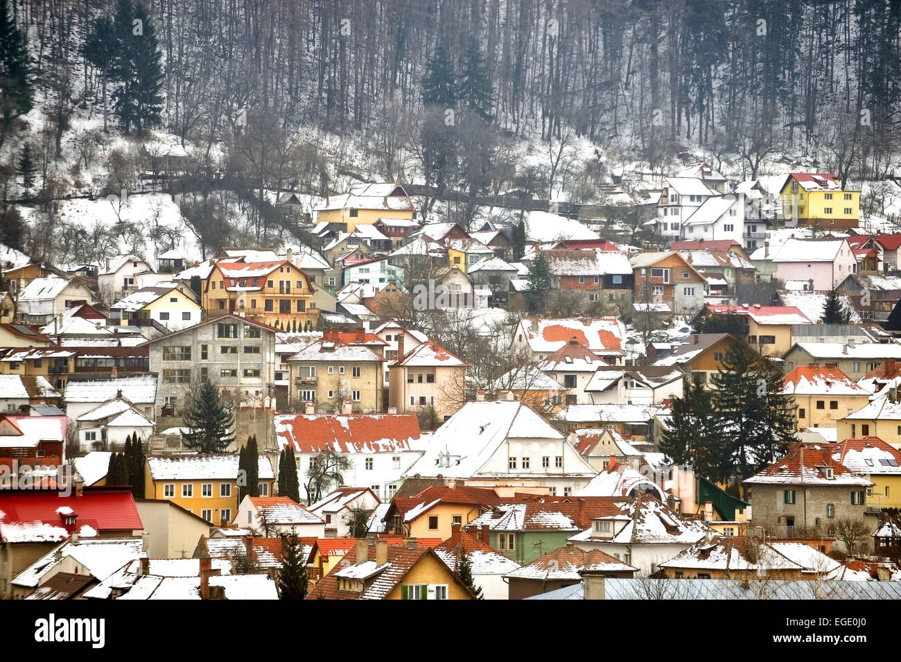 Winter Tag Stadtlandschaft mit alten Häusern im Schnee in der Nähe von einem Wald bedeckt Stockfoto
