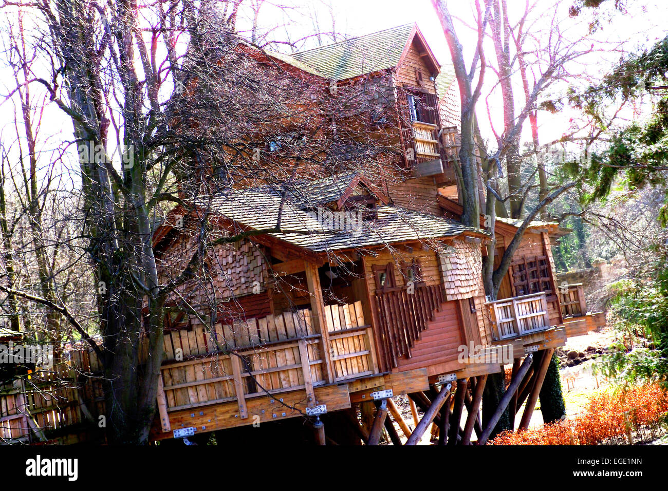 Das Baumhaus in Alnwick Gardens, Northumberland Stockfoto