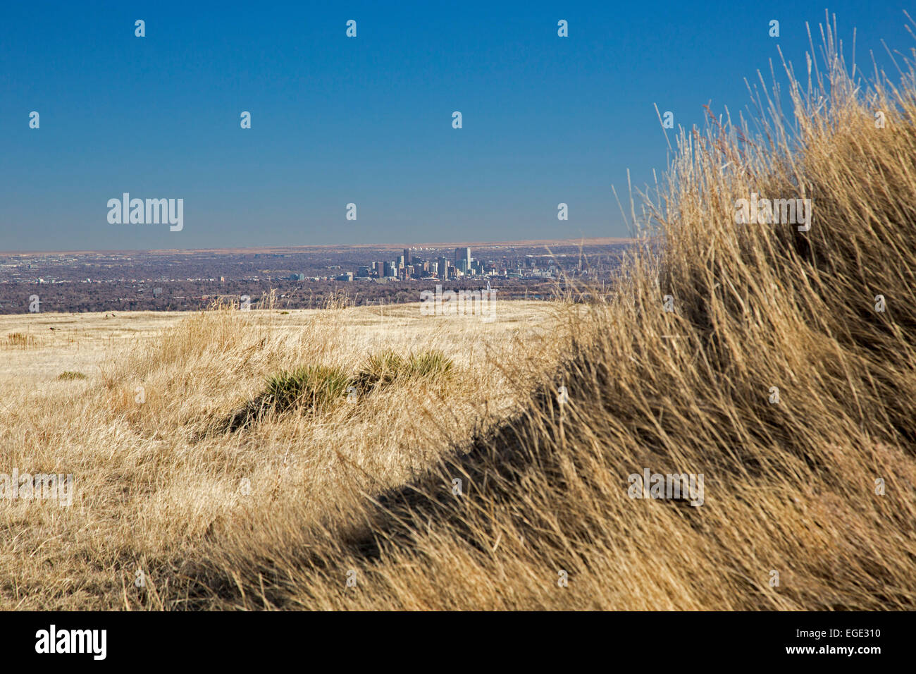 Golden, Colorado - Downtown Denver aus Norden Table Mountain, einem Tafelberg über Denver bezeichneten eine 'open Space'. Stockfoto