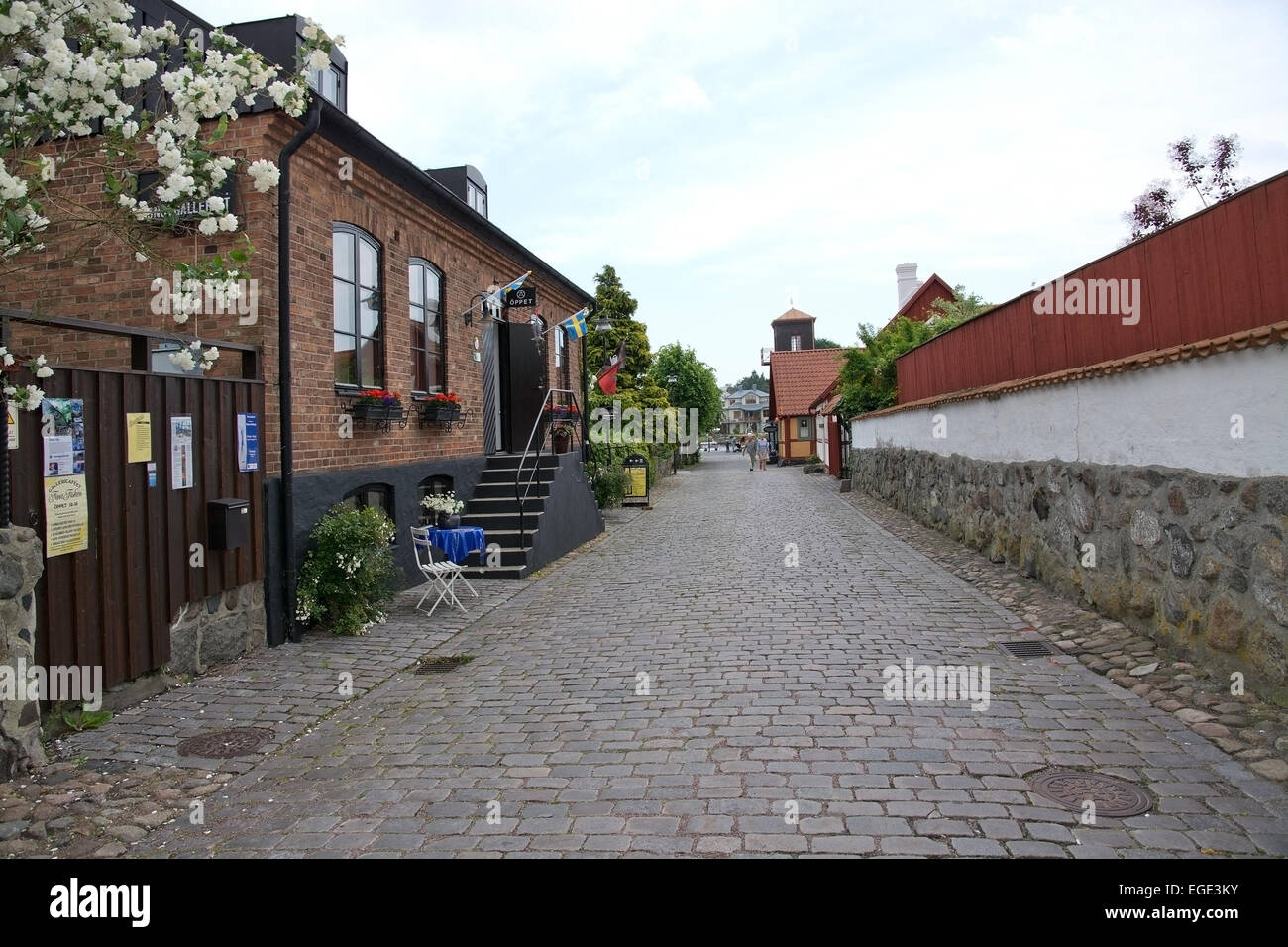 AHUS, SÜDSCHWEDEN - 28. Juni 2014: Idyllische Straße mit Rosen und Kopfsteinpflaster am 28. Juni 2014 in Ahus, Südschweden. Stockfoto