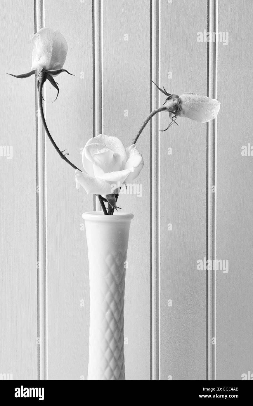 Nahaufnahme von weißen Rosen in einer milchigen Vase vor einem weißen Beadboard Hintergrund. Hochformat in schwarz und weiß. Stockfoto