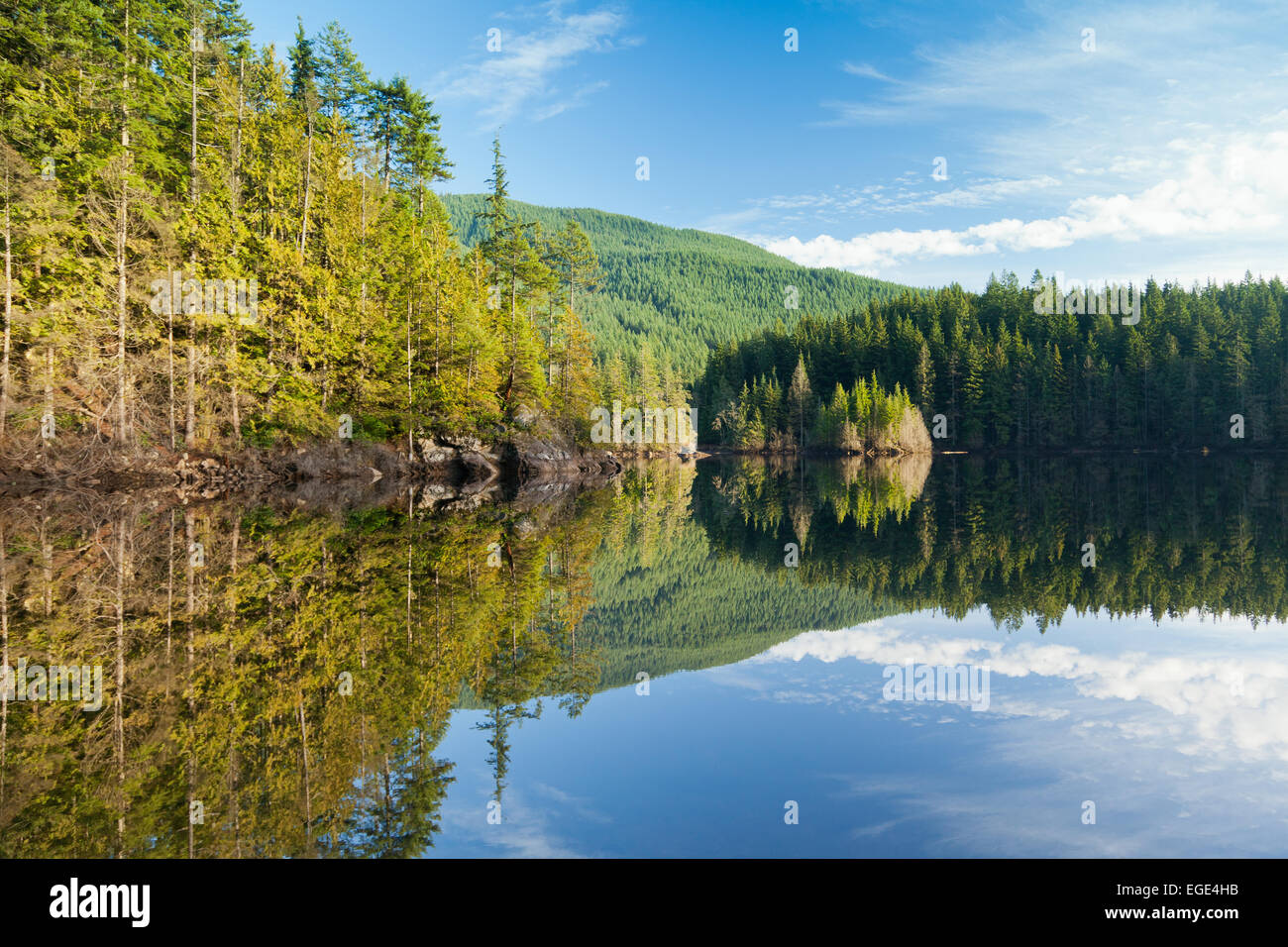Die Berge rund um Buntzen Lake in British Columbia Kanada spiegeln sich im Wasser. Stockfoto