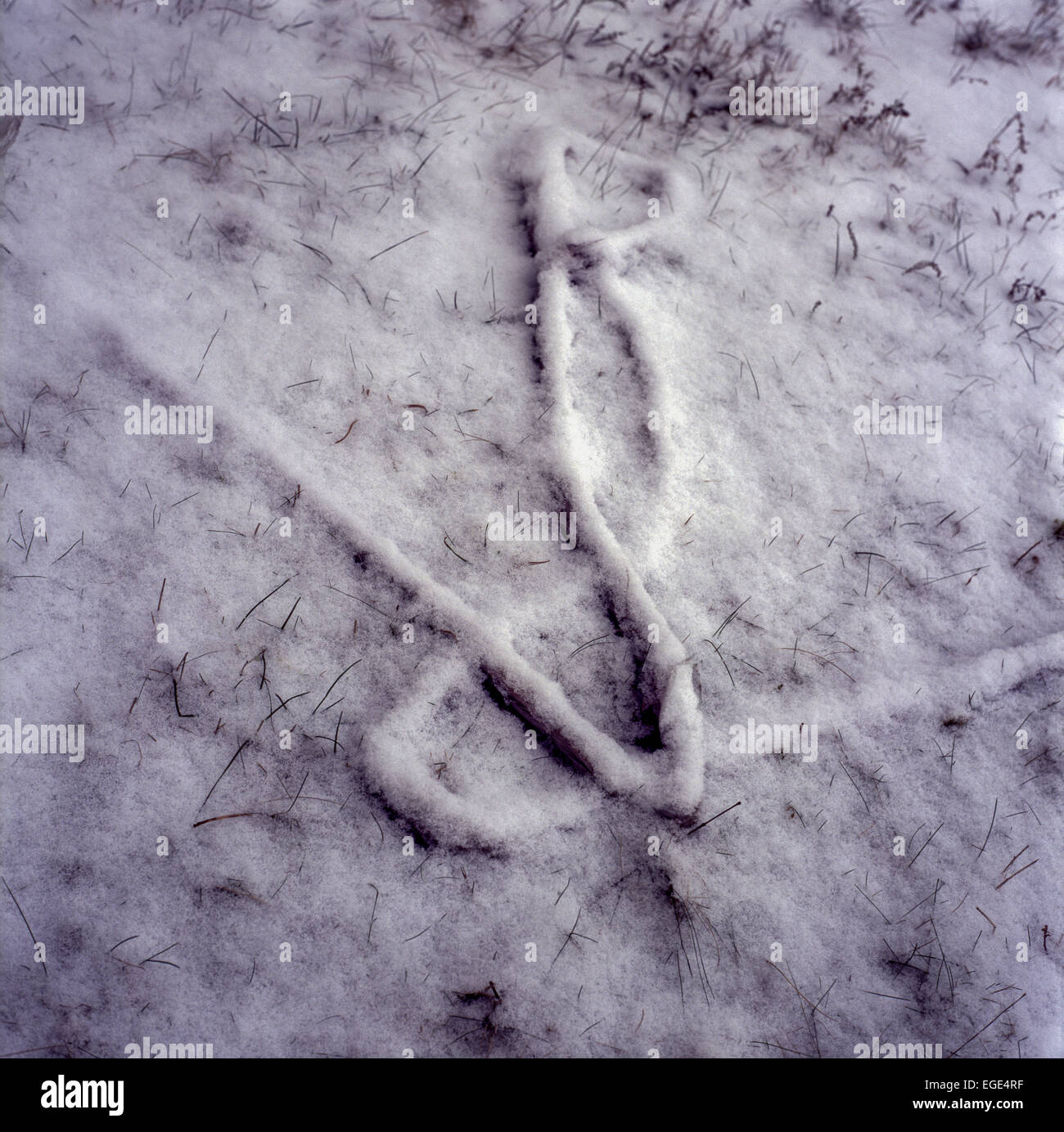 Schneeszene Relief Zeug liegen unter dem Schnee Gras Textur Stockfoto