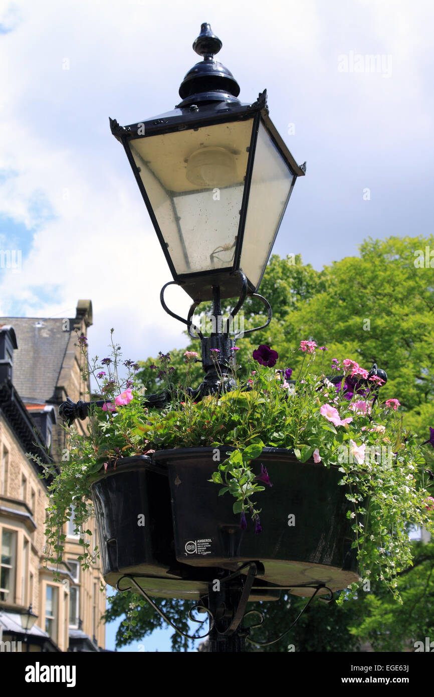 Dekorative viktorianischen Stil Straßenlaterne mit Blumenschmuck / Harrogate / North Yorkshire / UK Stockfoto