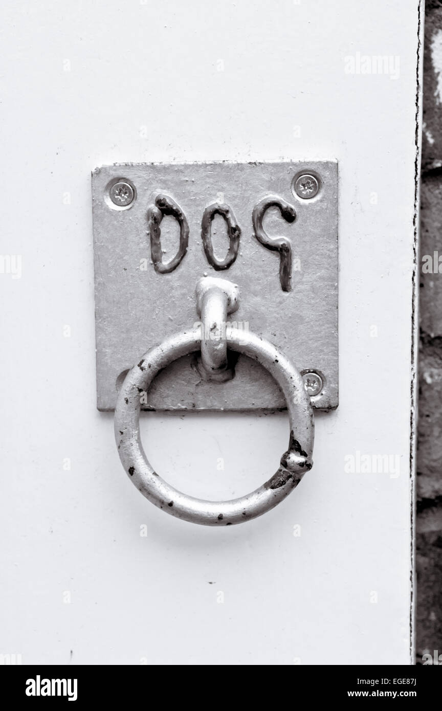 Ein Ring an der Wand für das Binden einer Hundeleine Stockfoto