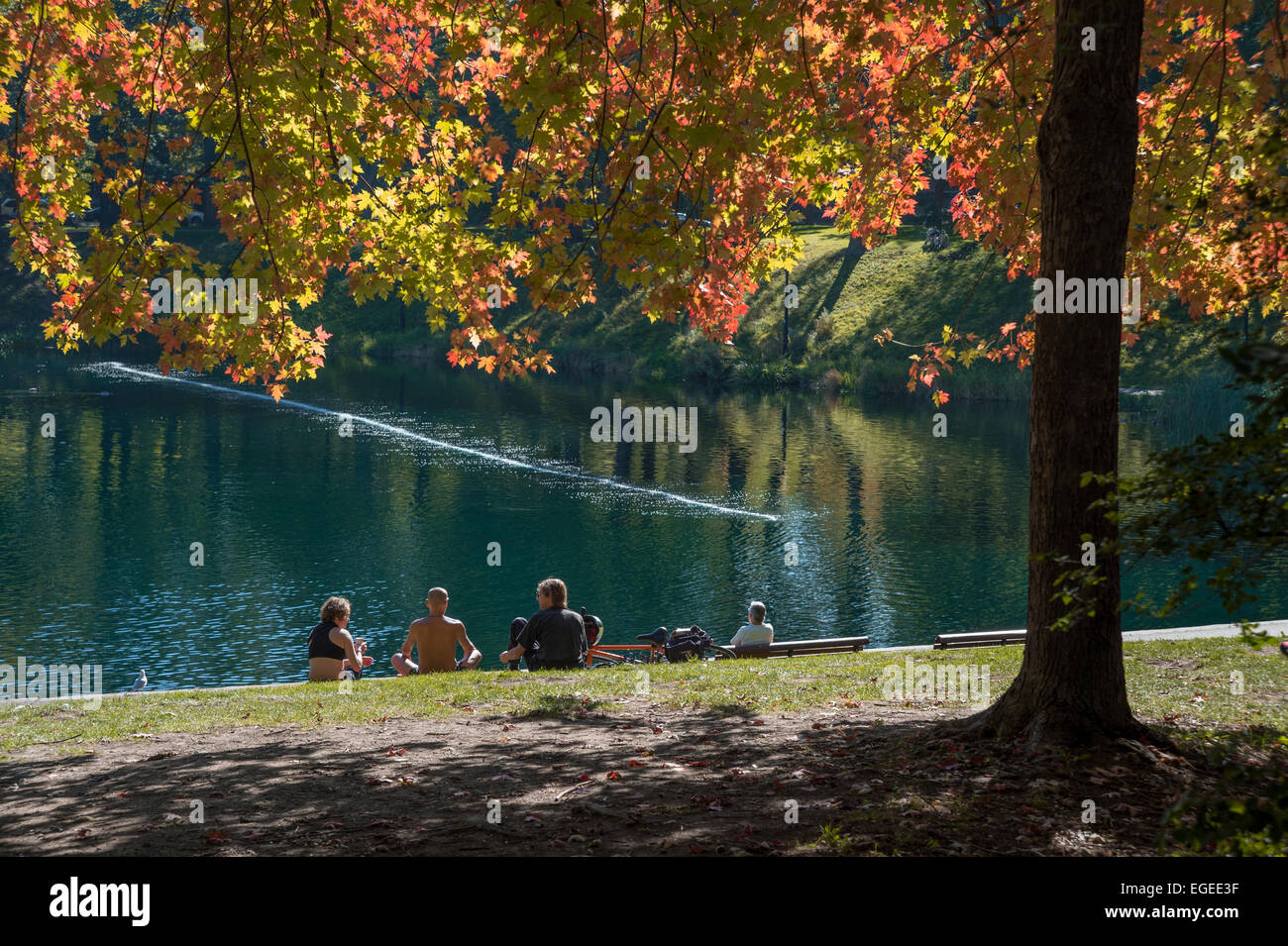Eine Gruppe von Menschen sitzen auf dem Rasen vor dem schönen See, im Herbst, im Lafontaine Park in Montreal Stockfoto