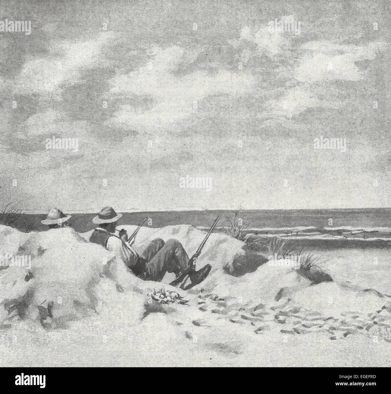 Hier erscheinen Snipe und andere Watvögel ein Dutzend Sorten in ihrer ernannten Saison, ca. 1916 Stockfoto