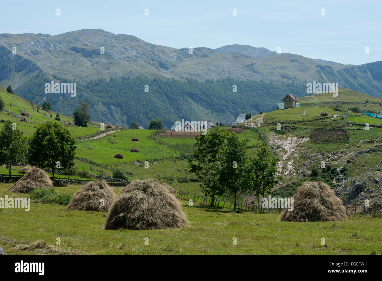 Heuhaufen In den Bergen, auf dem Weg zum Lukomir Dorf Stockfoto