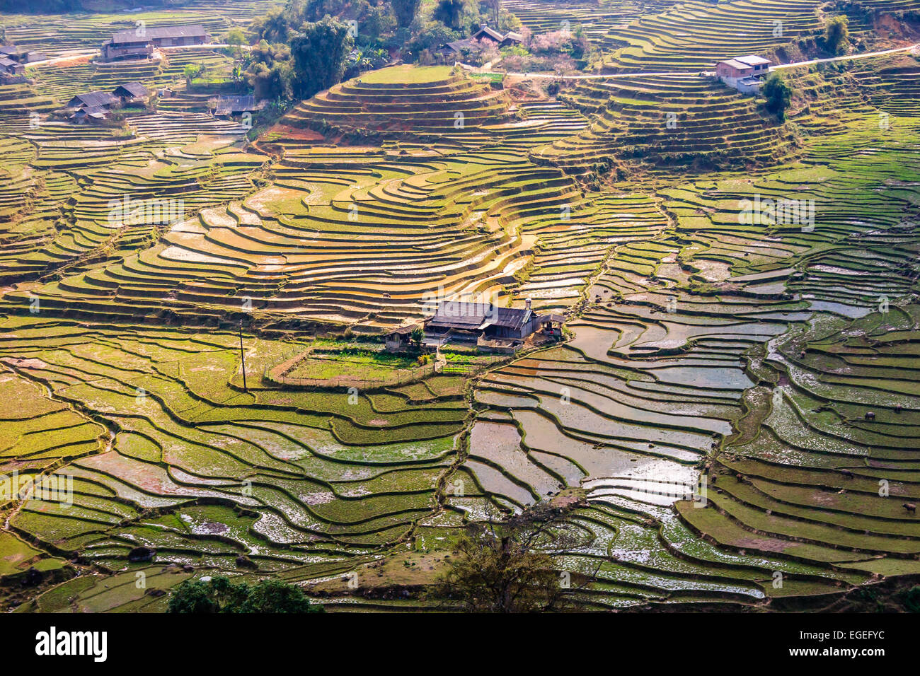 Moc Chau Stadt Morgen am 26. März 2015 in Son la Provinz, Vietnam Stockfoto