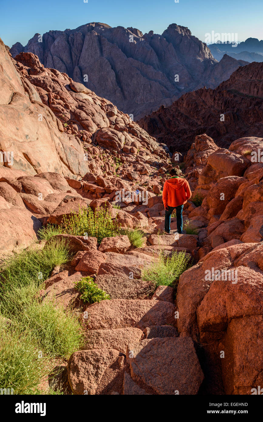 Junger Mann fällt vom Berg Sinai zum Kloster St. Catherine nach einem Treffen mit Sonnenaufgang am Berg Stockfoto