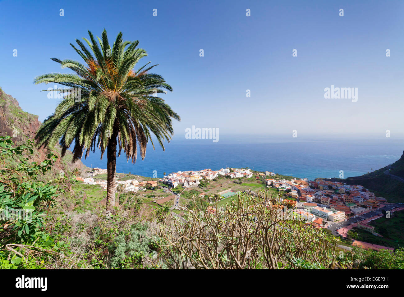 Palme, Ansicht von Agulo, La Gomera, Kanarische Inseln, Spanien Stockfoto