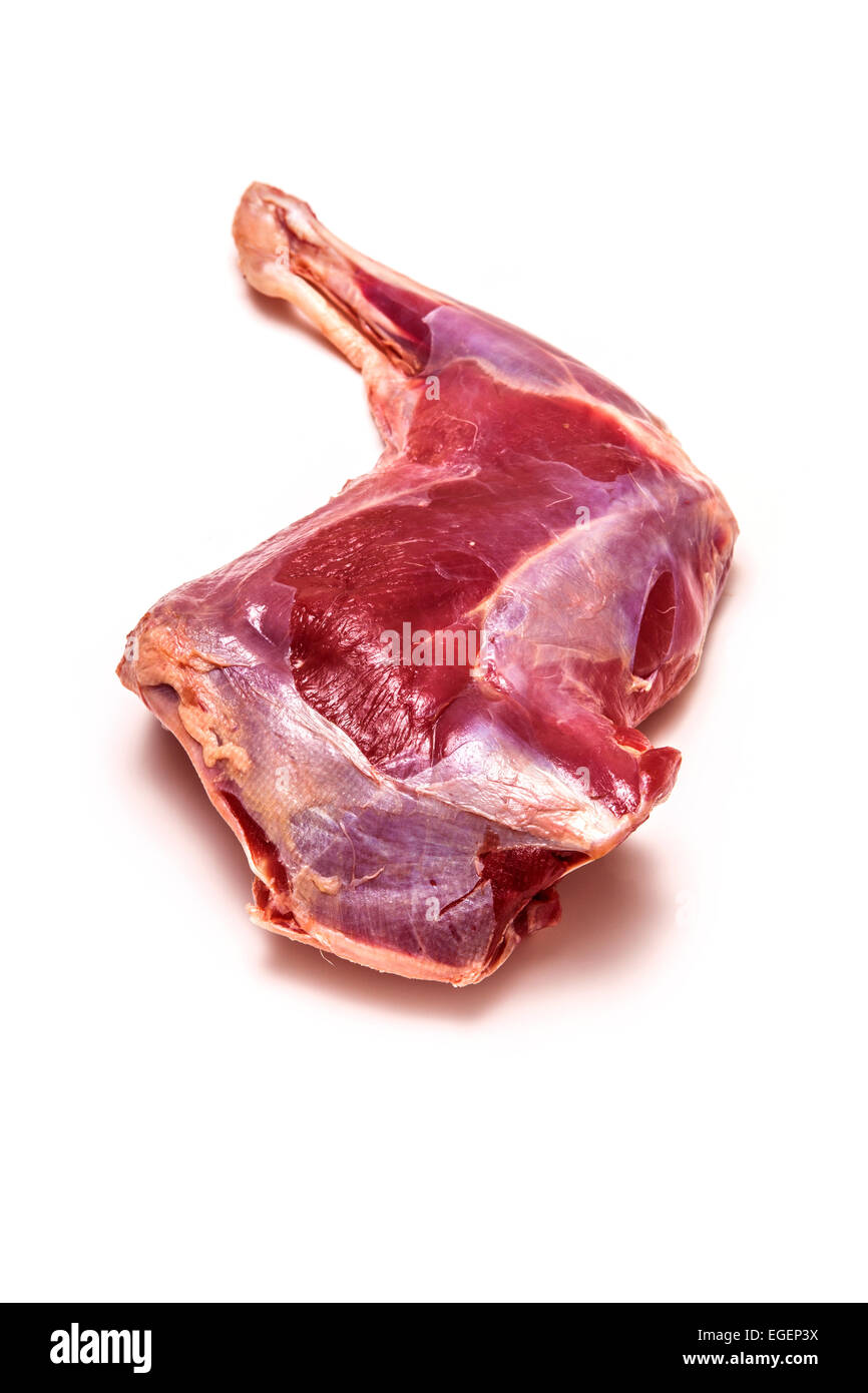 Halbbogen oder Bein oder rohes Wildfleisch isoliert auf einem weißen Studio-Hintergrund. Stockfoto