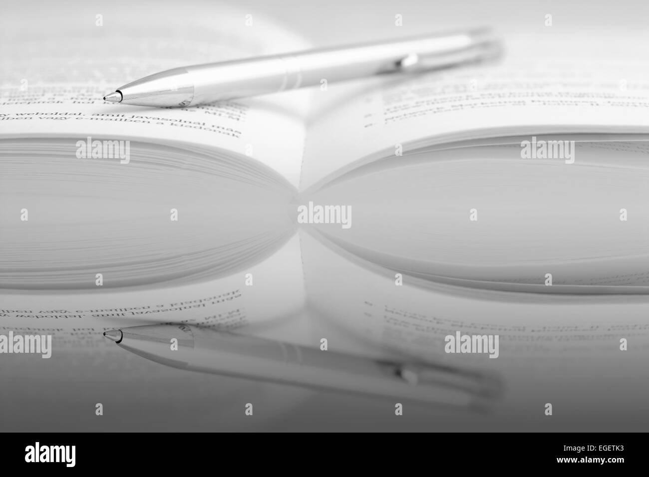 Das Buch ist ein Stift, Spiegelbild Stockfoto