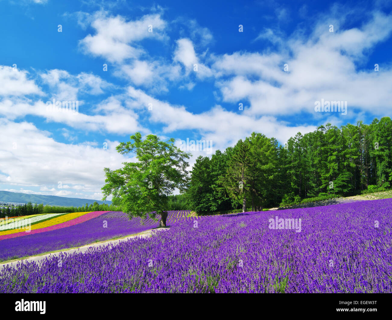 Hokkaido, Japan Stockfoto