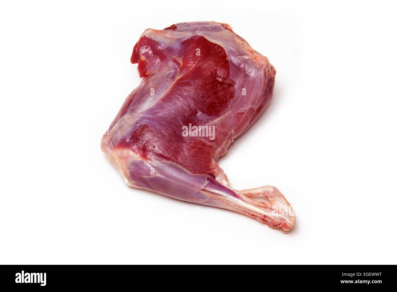 Halbbogen oder Bein oder rohes Wildfleisch isoliert auf einem weißen Studio-Hintergrund. Stockfoto