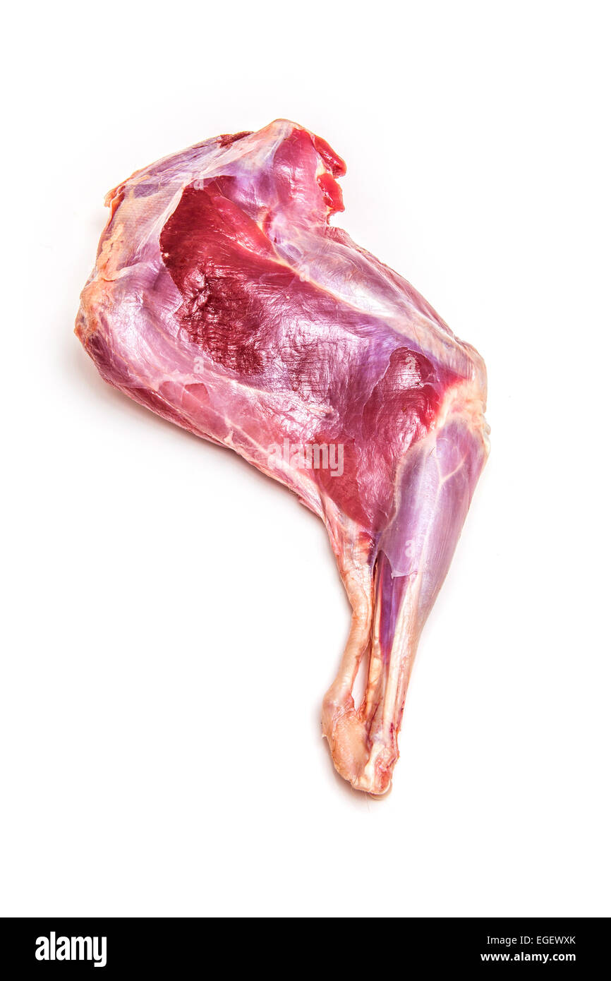 Halbbogen oder Bein oder rohes Wildfleisch isoliert auf einem weißen Studio-Hintergrund. Stockfoto