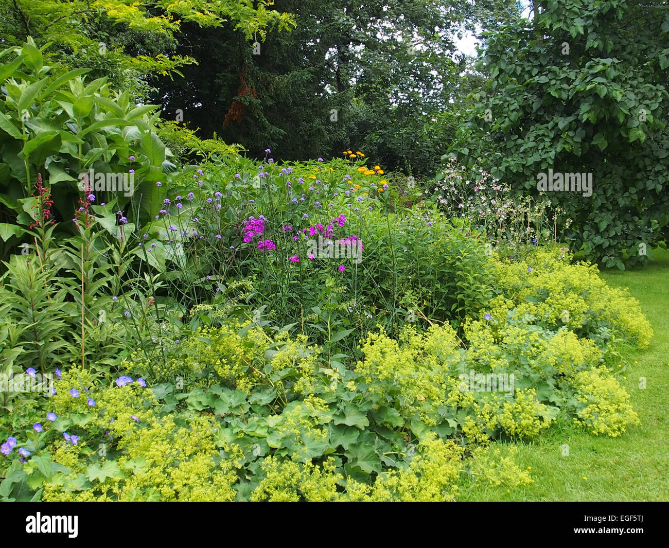 gemischte Blüte Grenze Stockfoto