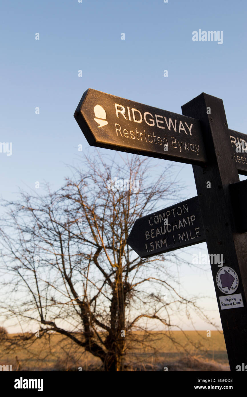 Morgensonne Winter auf Ridgeway Wegweiser. Oxfordshire, England Stockfoto