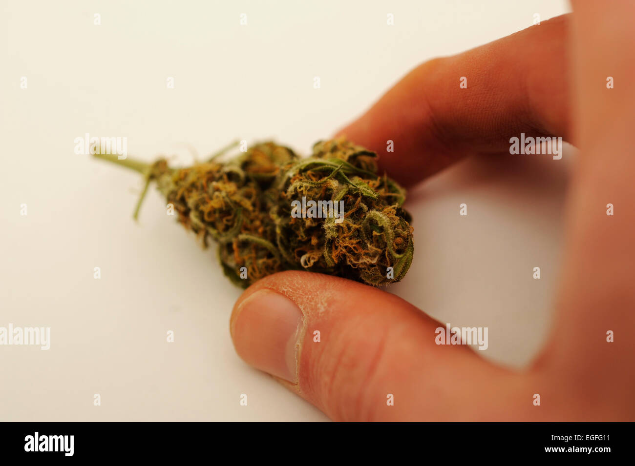 Medizinisches Cannabis Stockfoto