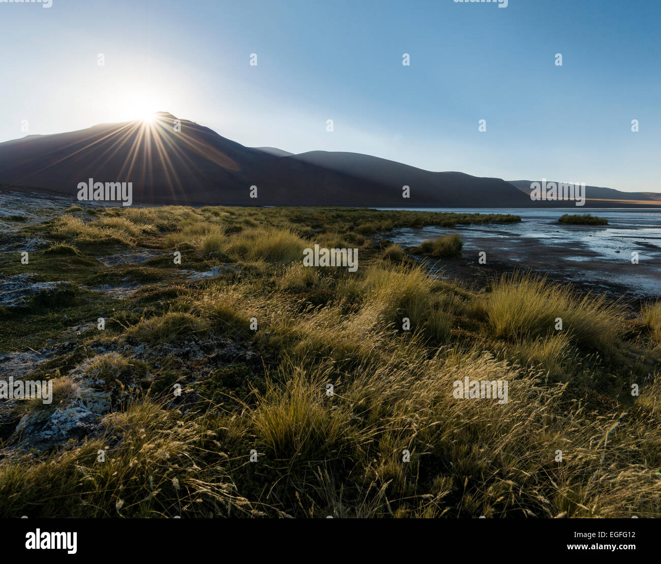 Laguna Colorada, Reserva Eduardo Avaroa, Bolivien Stockfoto