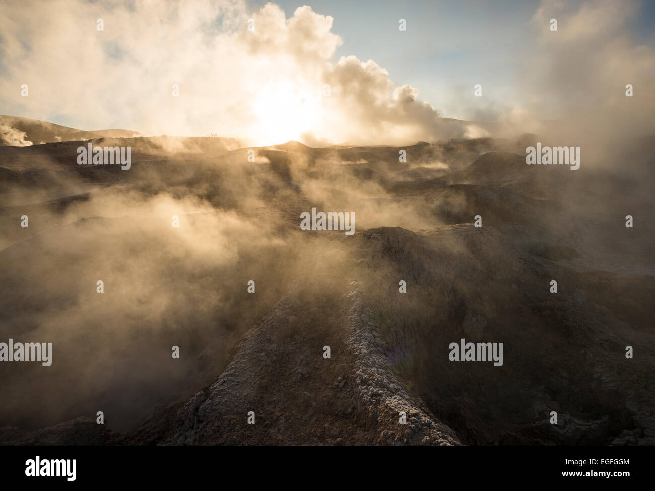 Sol de Mañana Geysir im Morgengrauen, Reserva Eduardo Avaroa, Bolivien Stockfoto