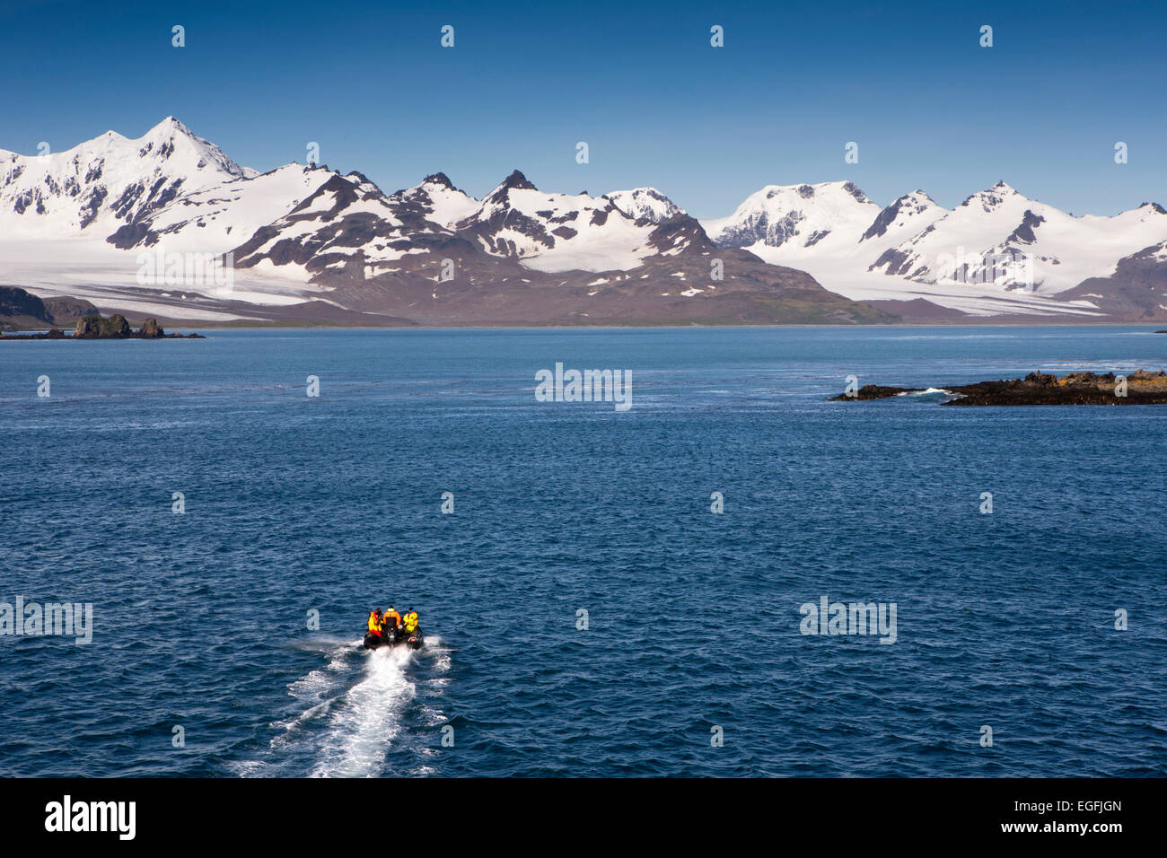 Südatlantik, Südgeorgien, Antarktis Kreuzfahrt Boot Zodiac in Bucht von Inseln Stockfoto