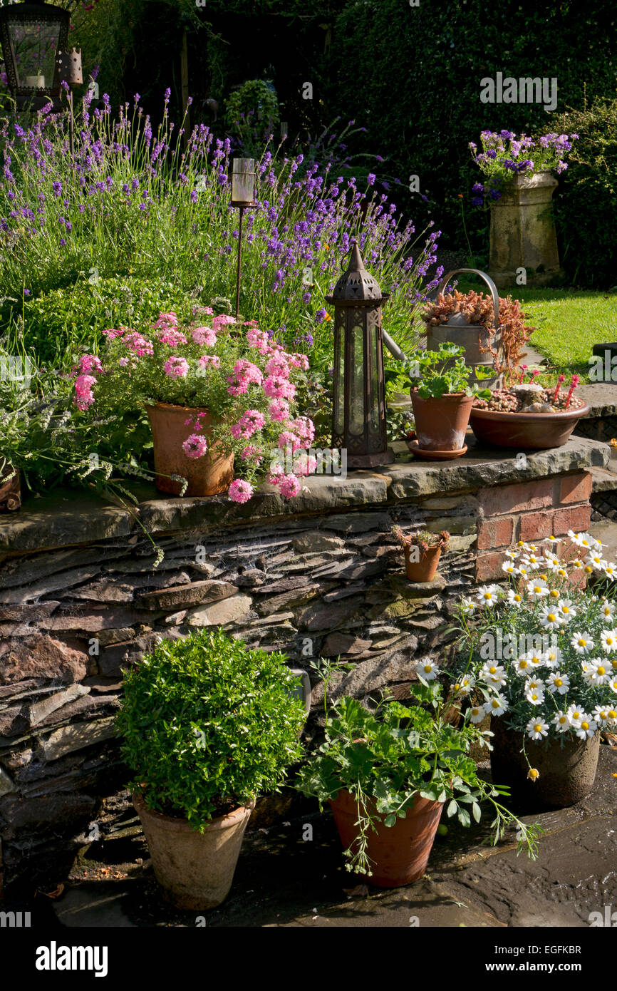 Ummauerten Terrassenbereich mit Sommer blühenden Pflanzer und Metall Laterne, Leicestershire, England Stockfoto