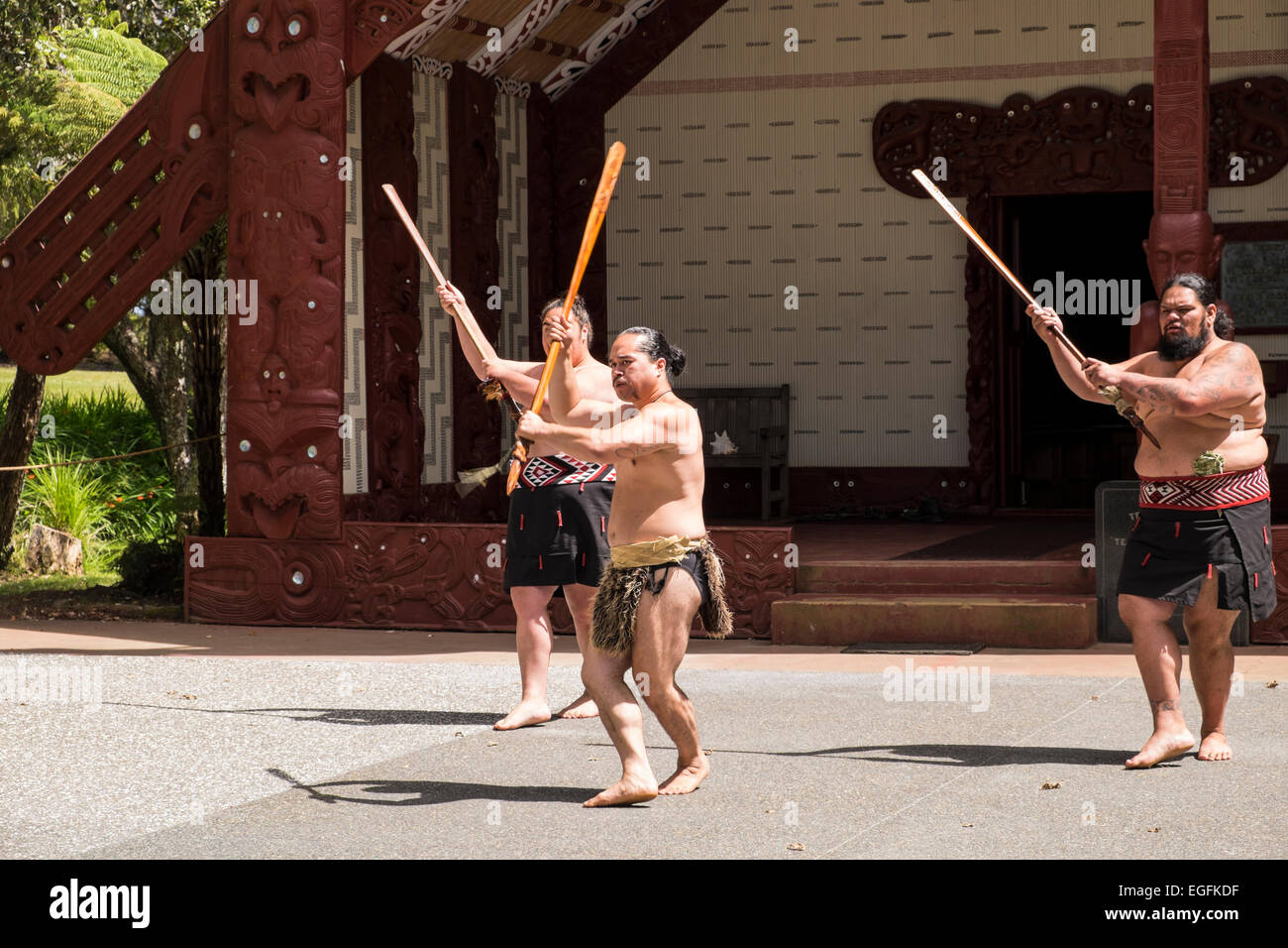 Te Pitowhenua Gruppe von Darstellern handeln eine traditionelle Maori Begrüßung für Touristen und Besucher an den Waitangi Treaty Grounds, Nort Stockfoto
