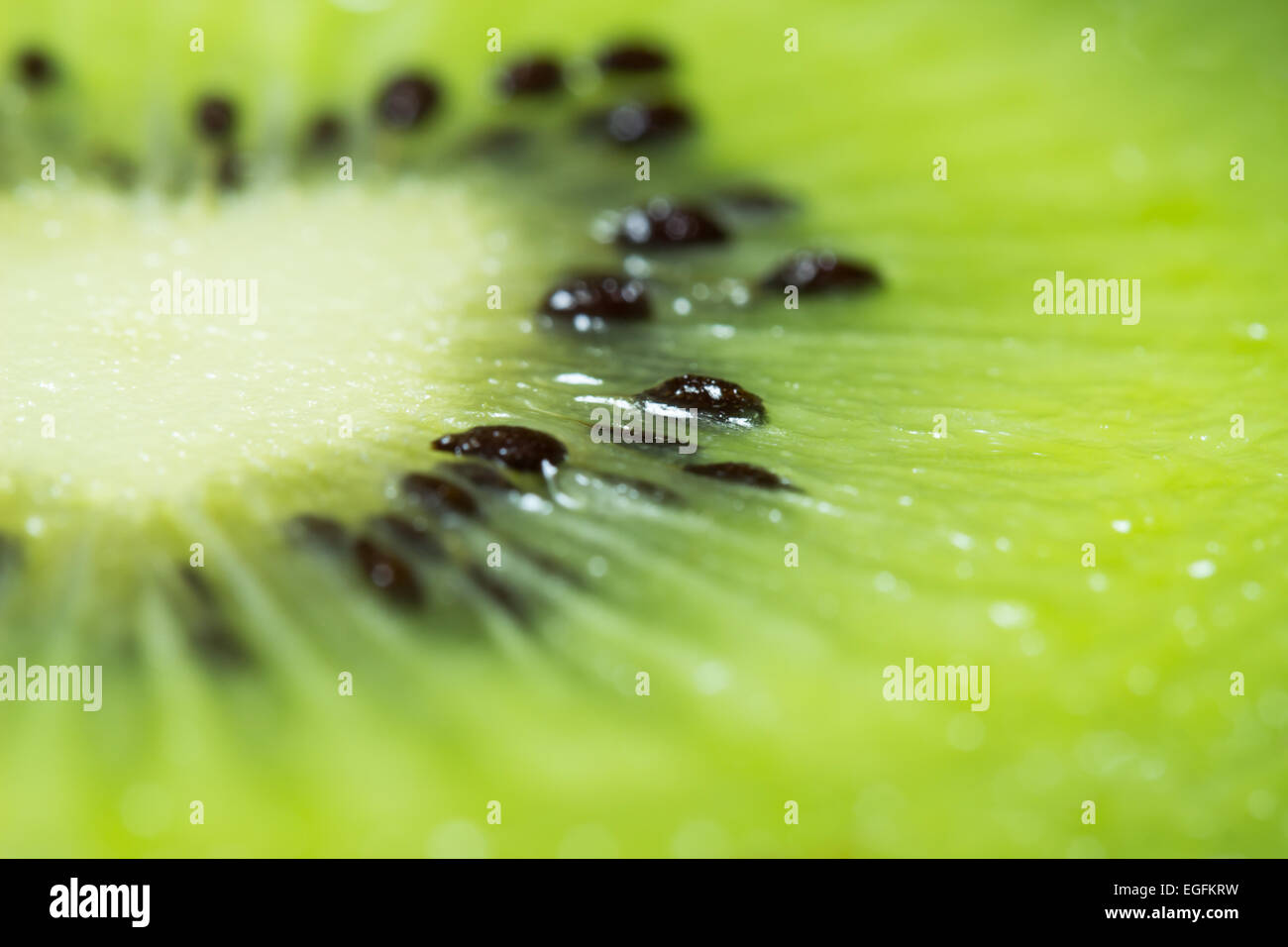 Kiwi Frucht Makro Textur Stockfoto